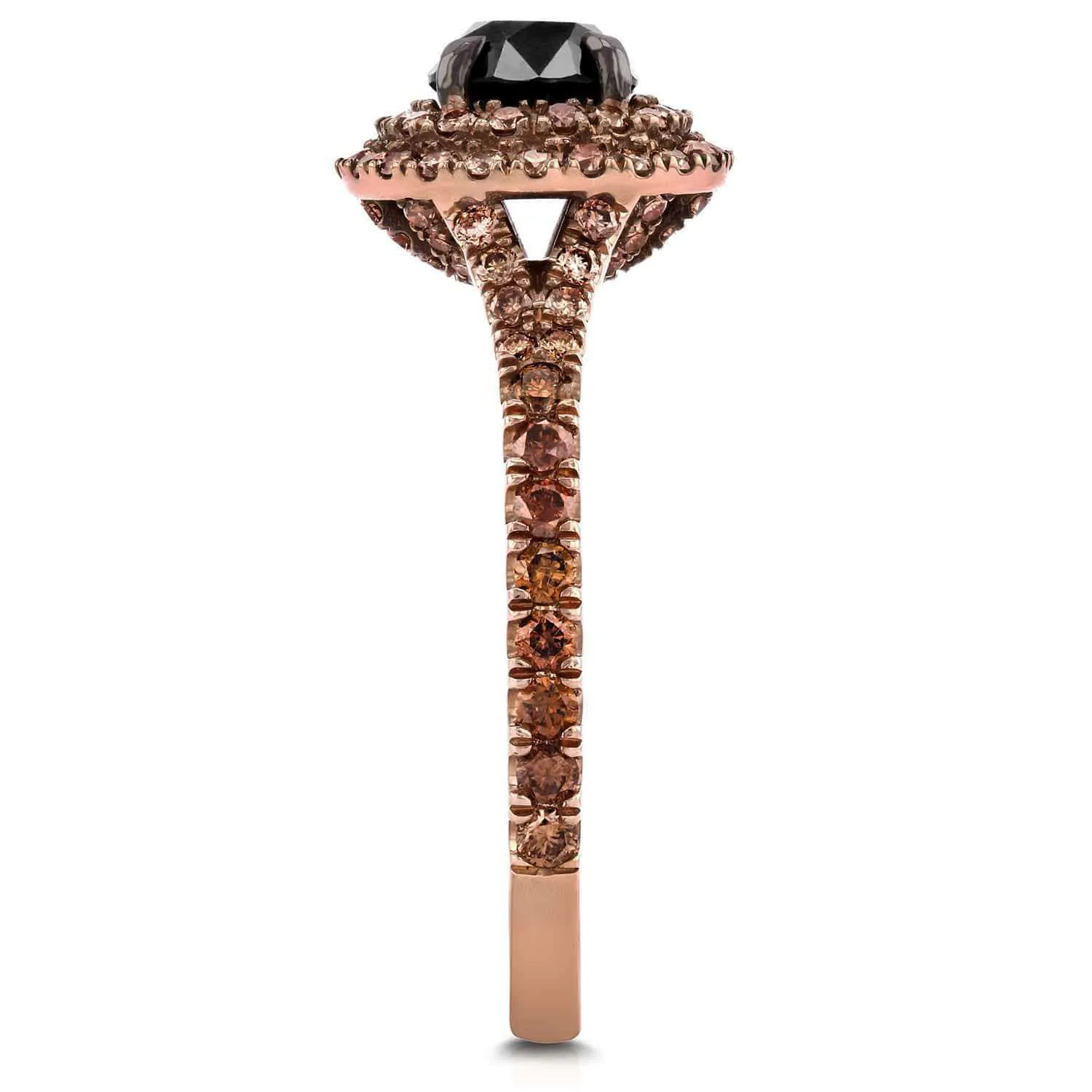 Champagne Double Halo