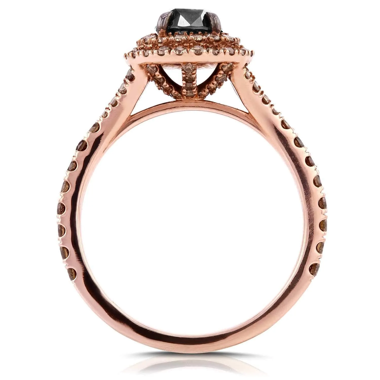 Champagne Double Halo
