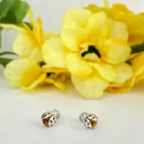 Golden Ladybird Stud Earrings - VE642