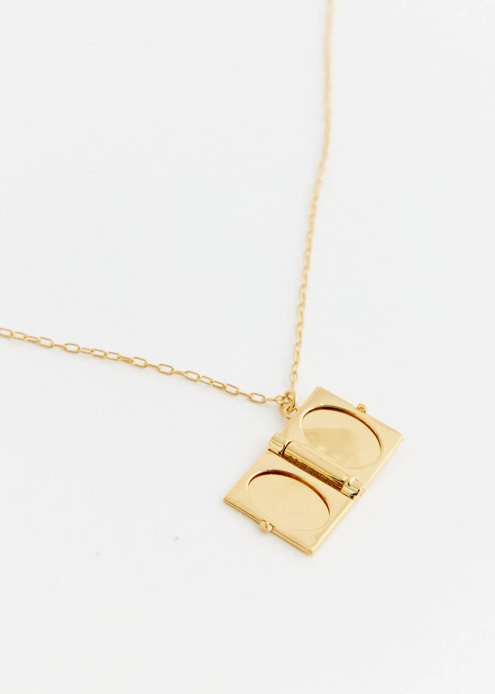 Social Studies Locket Necklace